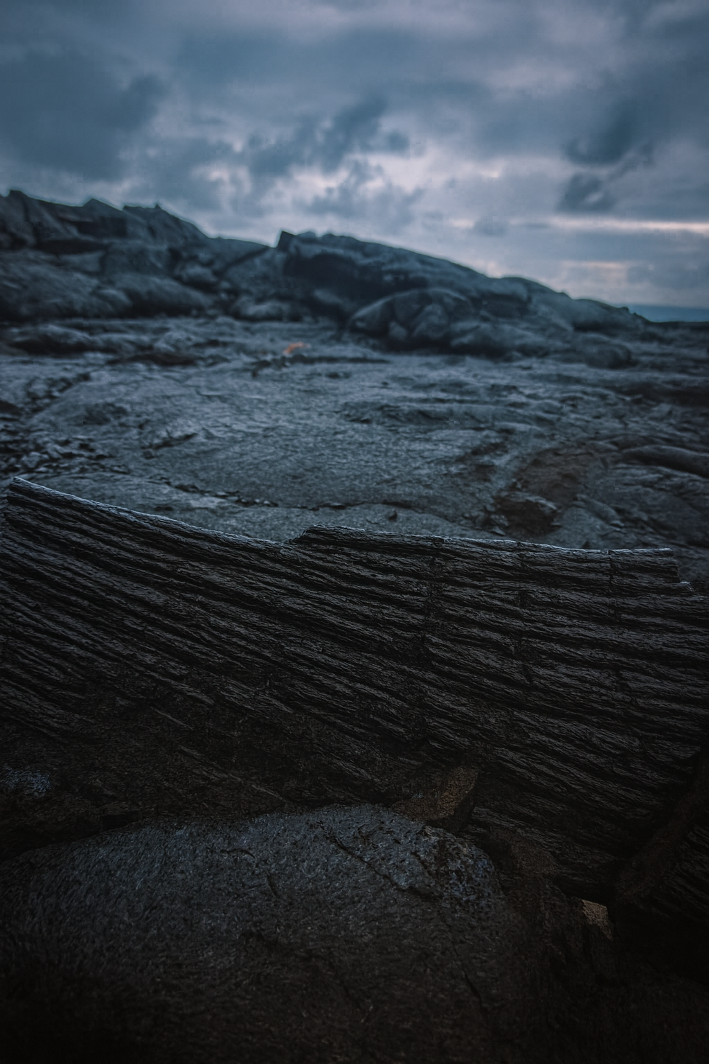 Photo by Harris Campbell